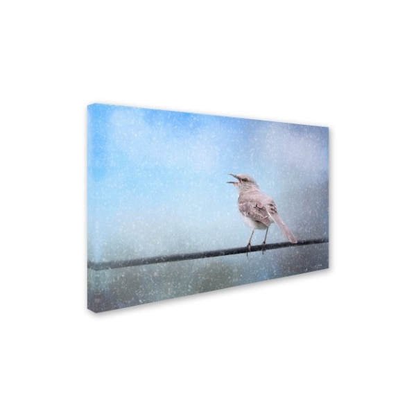 Jai Johnson 'Mockingbird In The Snow' Canvas Art,22x32